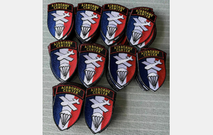 PATCH  AIRBORNE CENTER   