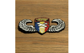 Patch - Brevet Poitrine - Roumanie